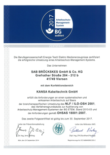 [Translate to turkish:] Arbeitsschutzmanagement nach NLF/ILO-OSH 2001 und OHSAS 18001:2007